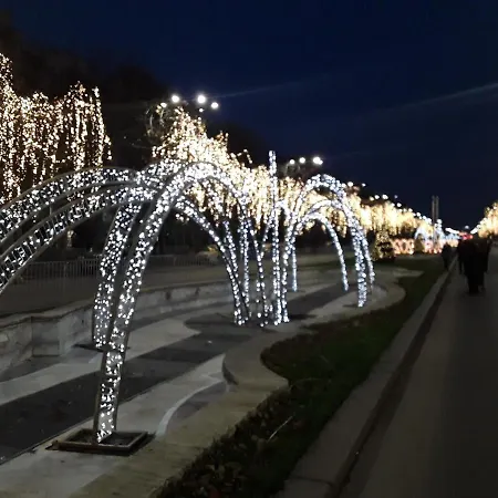 Panoramic View *